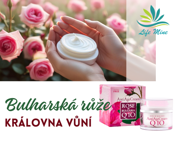 ZAJÍMAVOSTI A NÁVODY